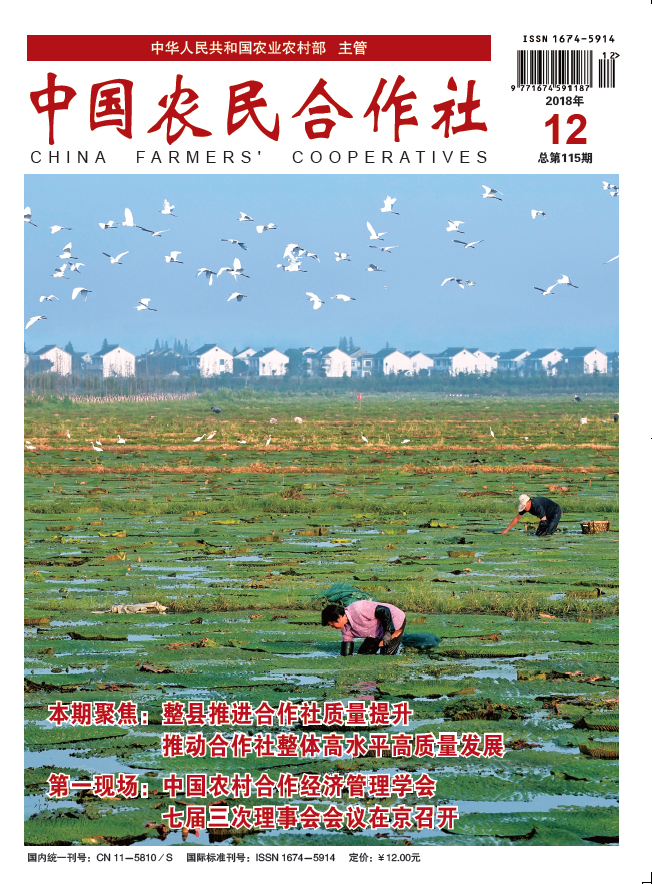 12期封面.png
