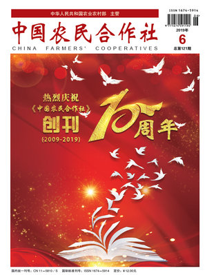06cover.jpg