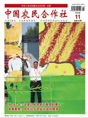 11cover.jpg