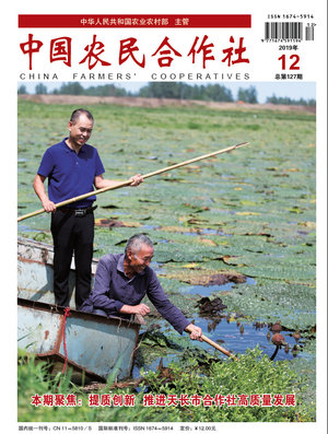 12cover.jpg