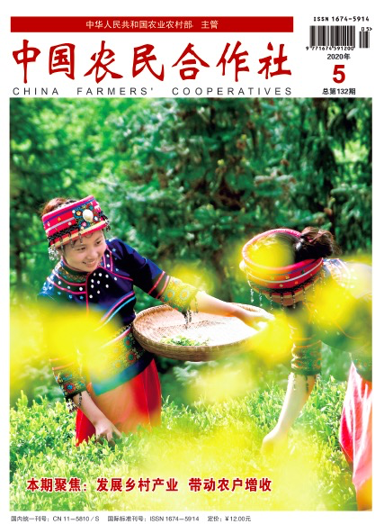 cover1.png