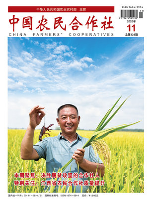 11cover.jpg