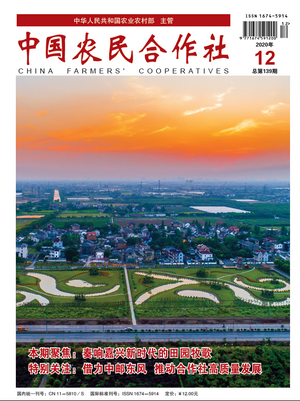 202012cover.png