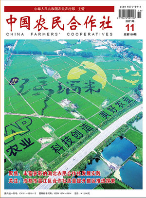 202111cover.jpg