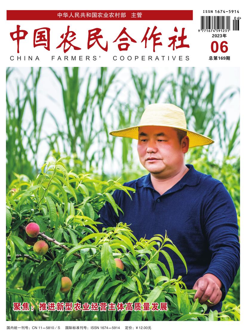 202306cover.jpg