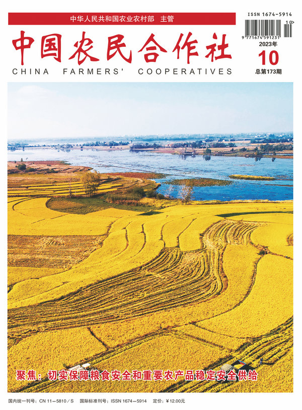 202310cover.jpg