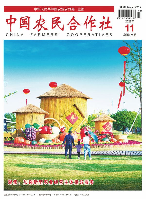 201111cover.jpg