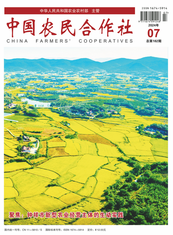 202407cover.jpg