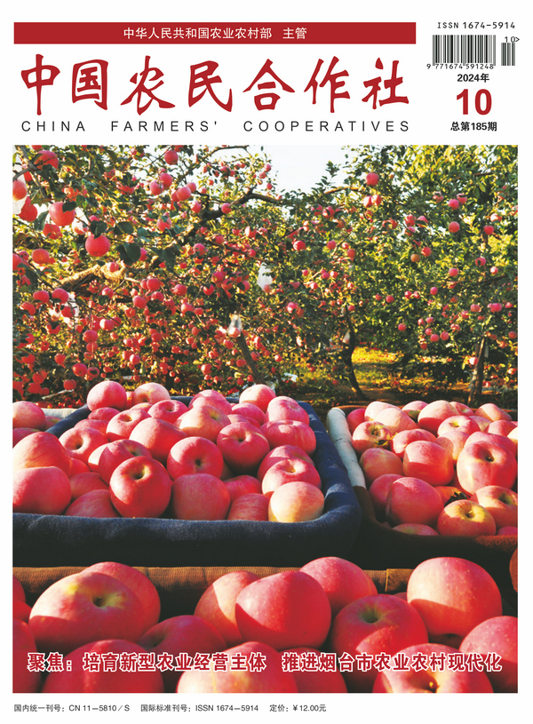 202410cover.jpg