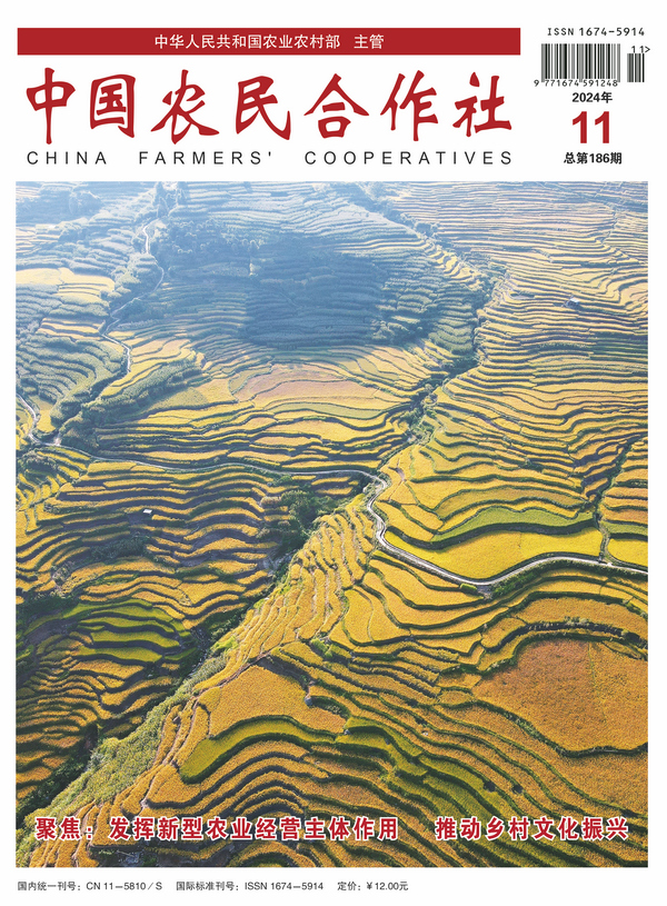202411cover.jpg