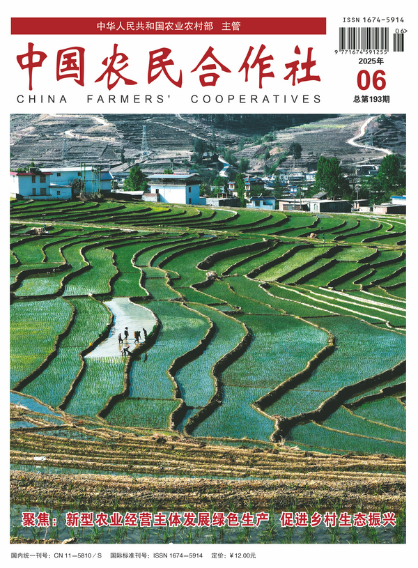202506cover.jpg