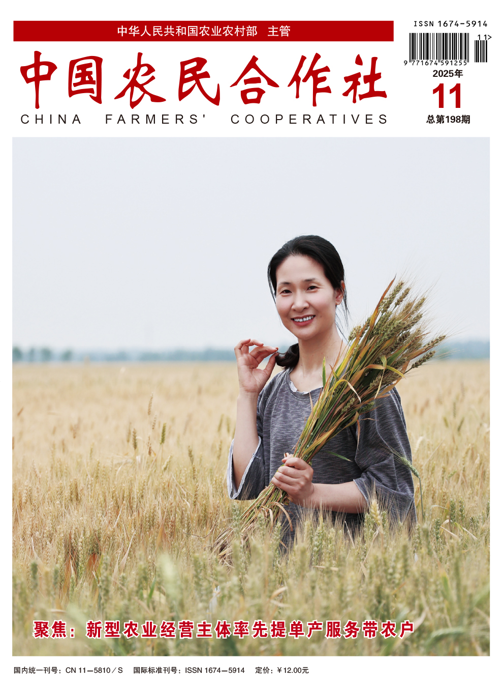 2025年11期封面.jpg