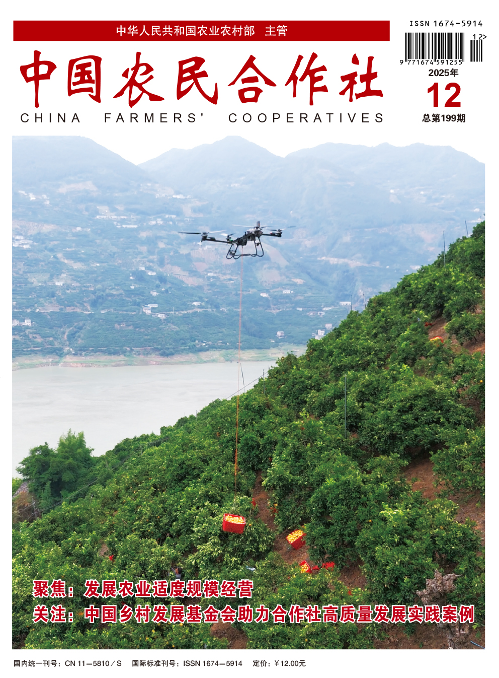 2025年12期封面.jpg