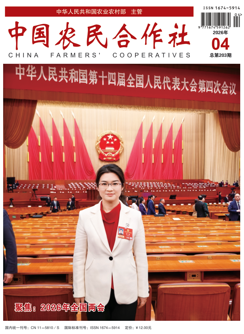 封面.png