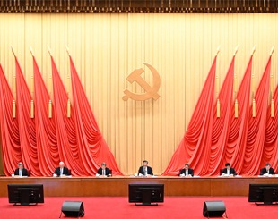 zhaomengPic.png